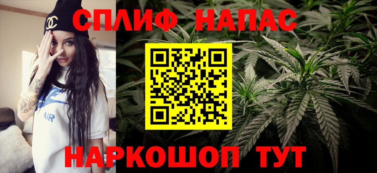 Конопля сатива Похвистнево